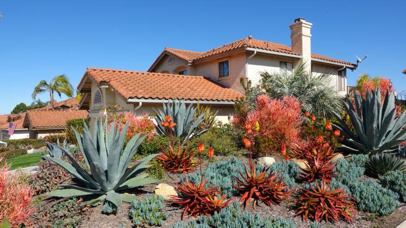 House with a cactus-filled front garden